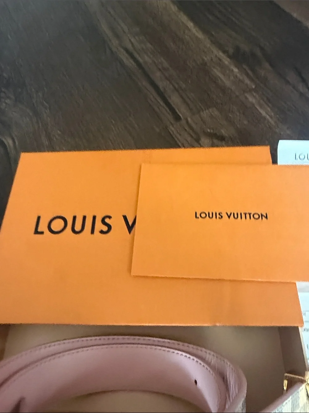 Louis Vuitton luxury louis